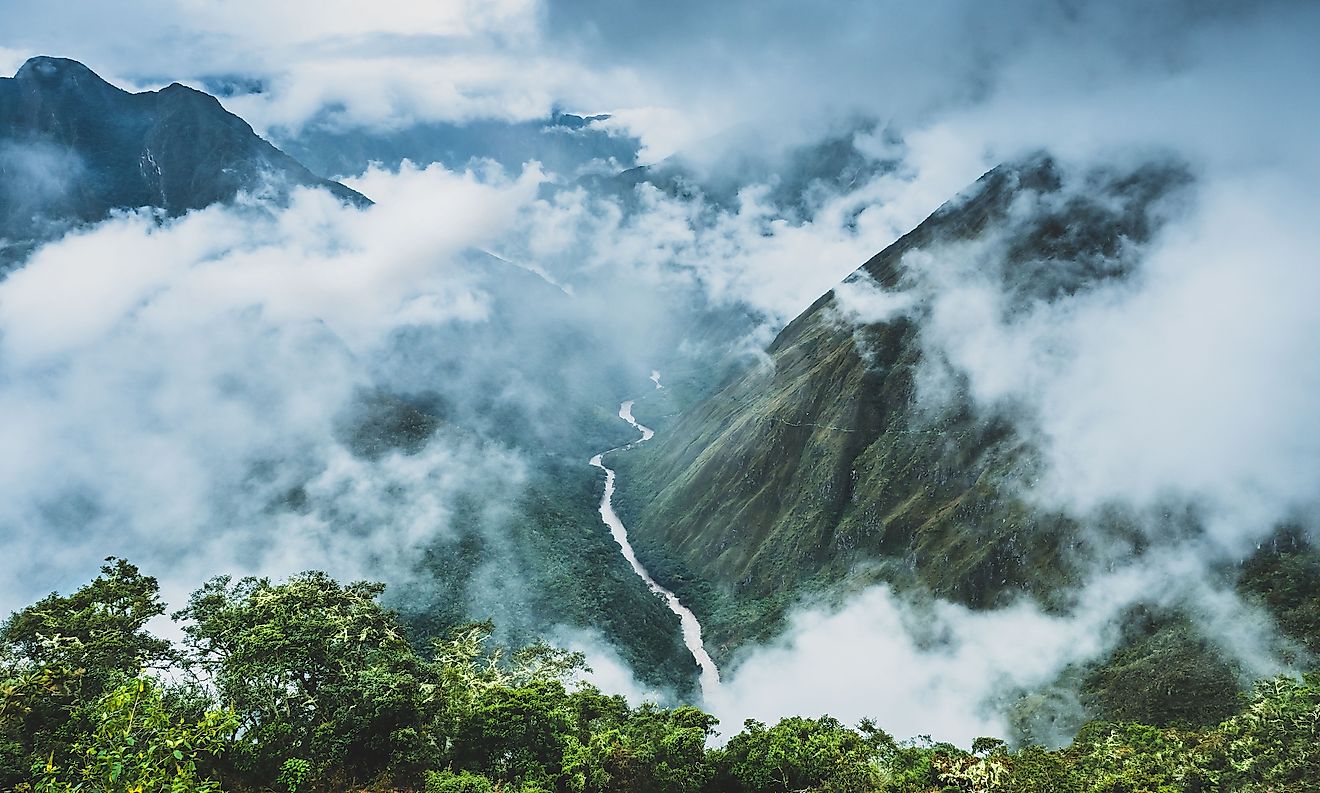 What Is A Cloud Forest? - WorldAtlas