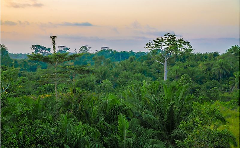 what-are-the-major-natural-resources-of-liberia-worldatlas