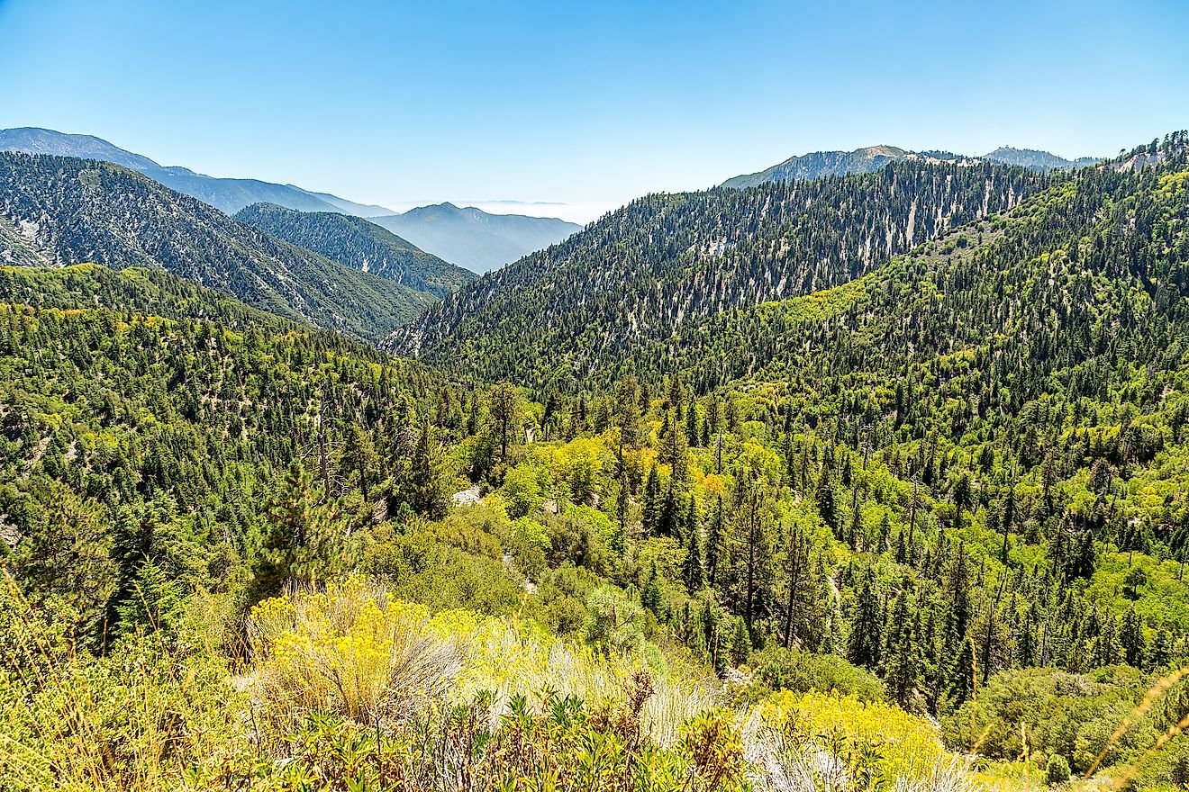 San Bernardino National Forest - WorldAtlas