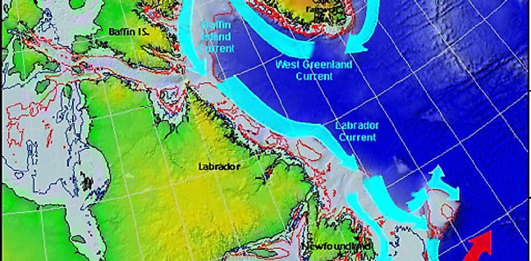 What And Where Is The Labrador Current WorldAtlas   Labradorcurrent 