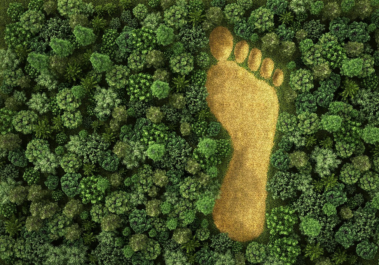 What Is An Ecological Footprint WorldAtlas