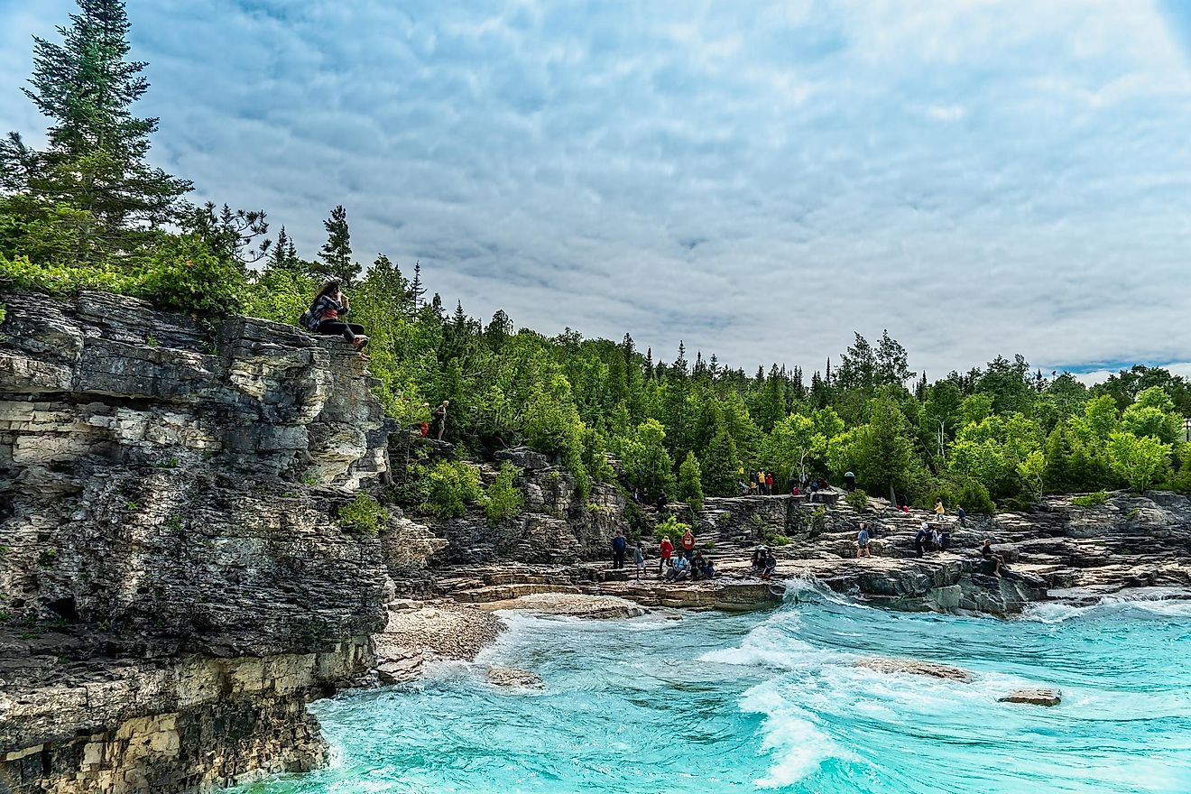 The Bruce Trail: Exploring and Preserving the Niagara Escarpment ...