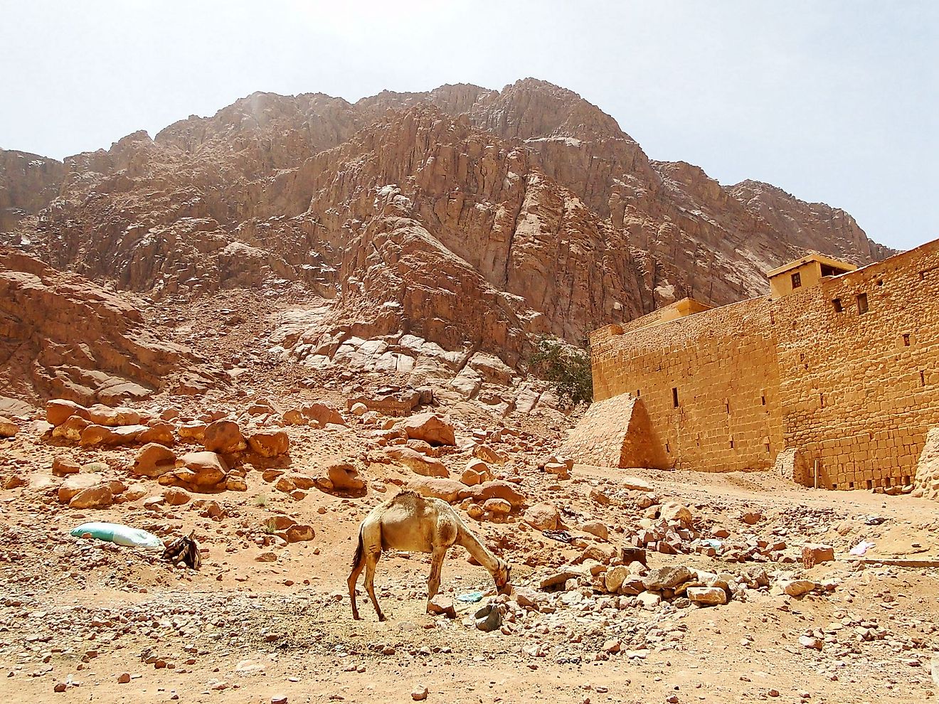 Mount Sinai - WorldAtlas