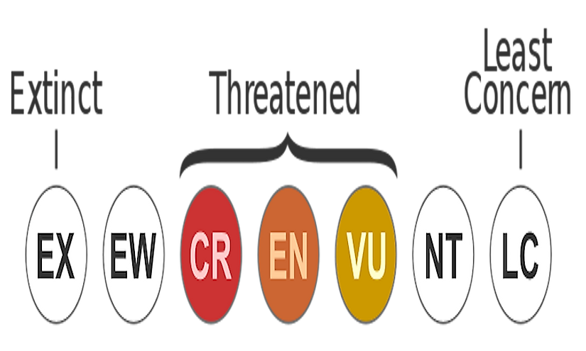 What Is The IUCN Red List? What Are The IUCN Red List Categories