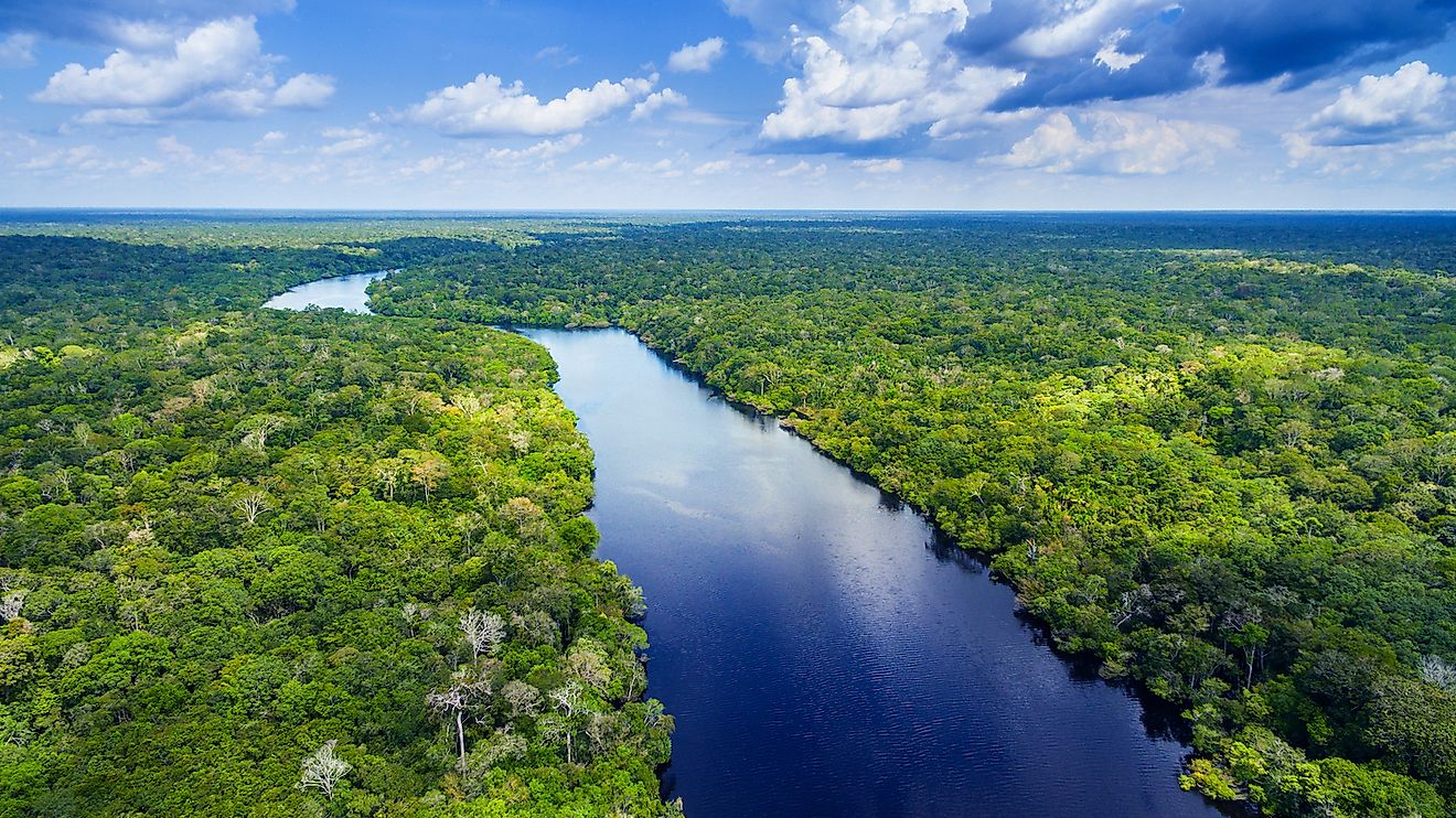 How Much Of The Amazon Rainforest Is Left WorldAtlas