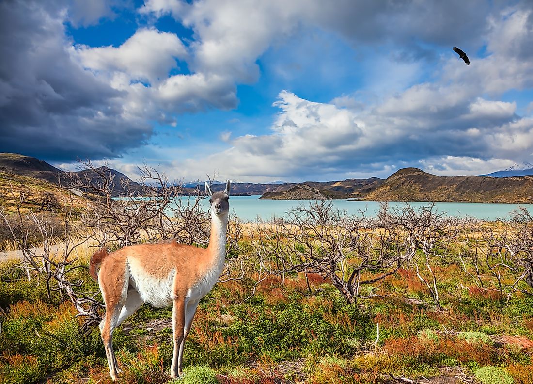 what-is-a-biosphere-reserve