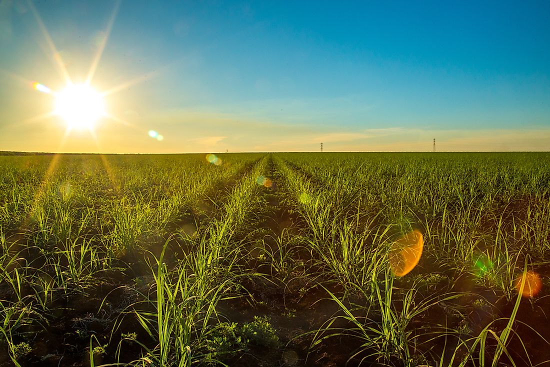 Which Country is Known as the Sugar Bowl of the World? - WorldAtlas