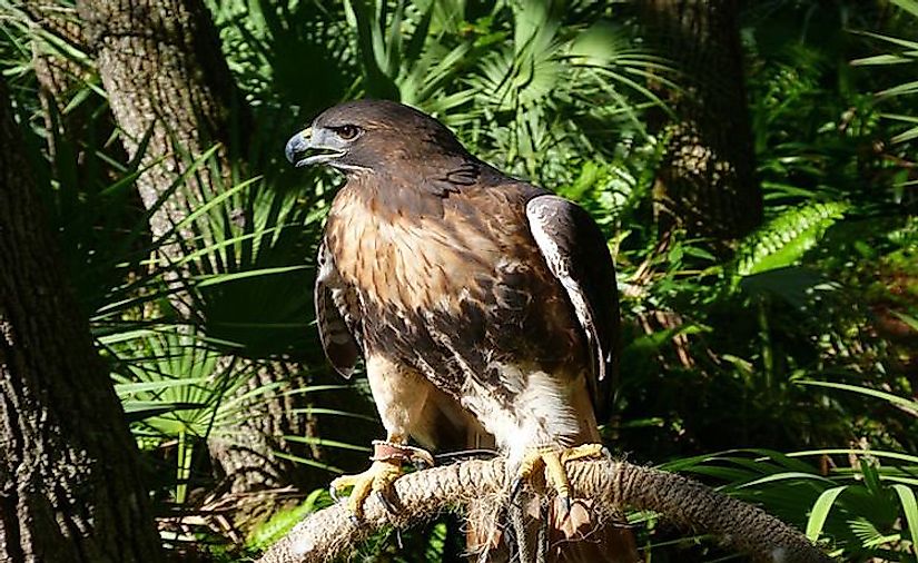 Florida National Parks - WorldAtlas