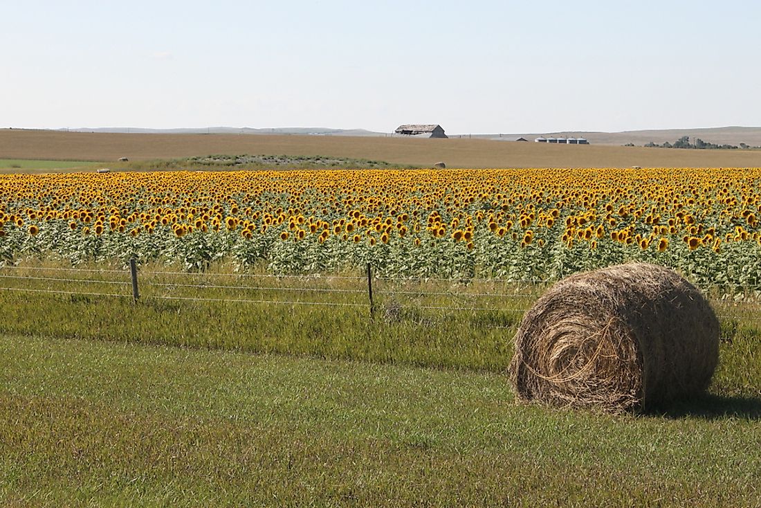 what-are-the-biggest-industries-in-south-dakota-worldatlas