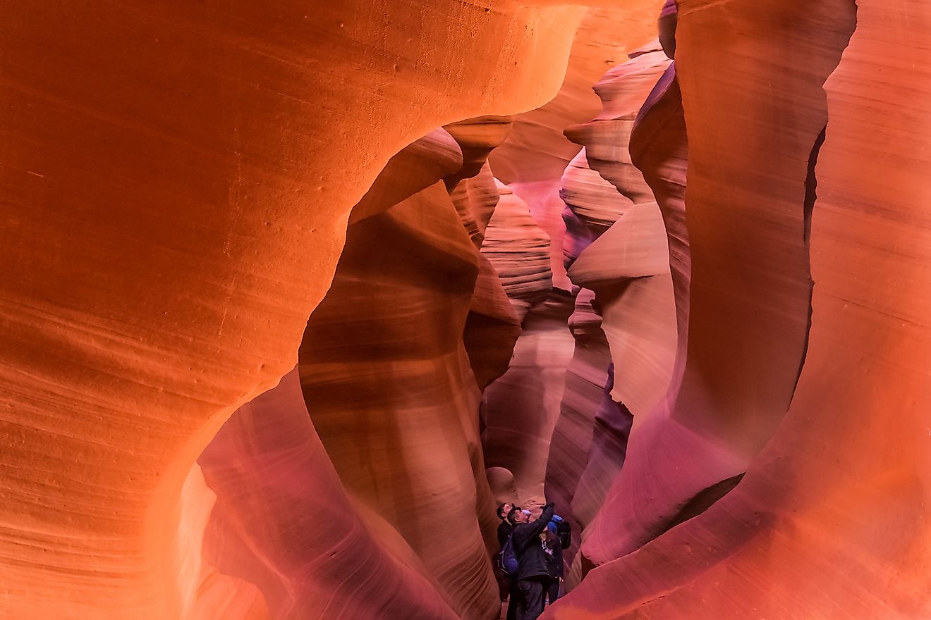 are dogs allowed in antelope canyon