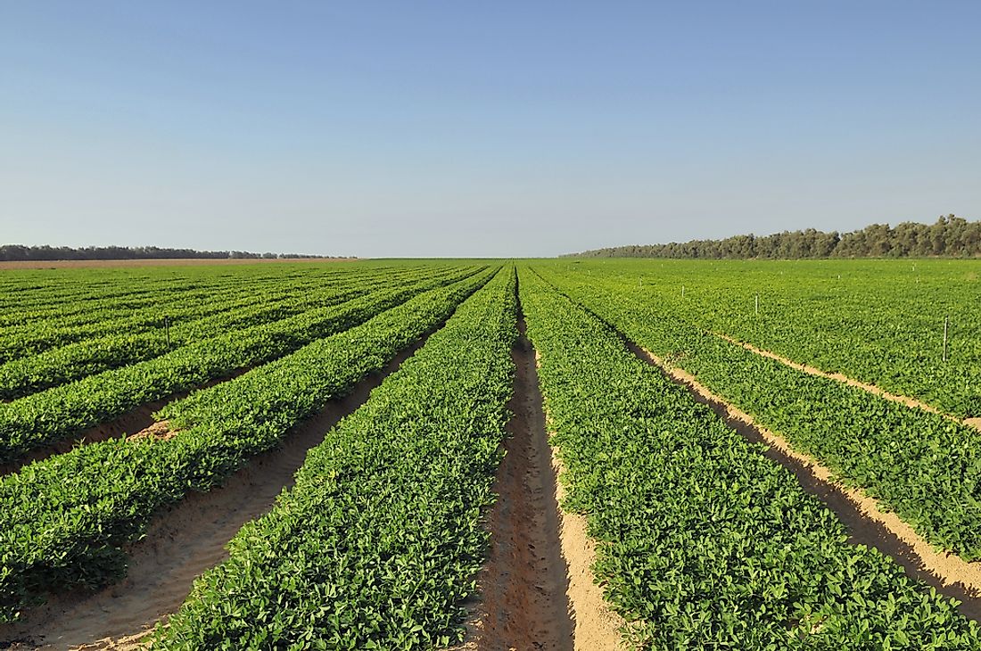 where-are-peanuts-grown-worldatlas