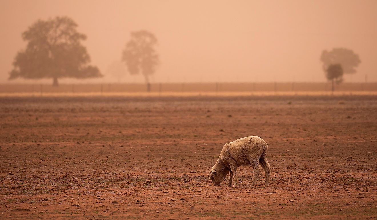 Australia’s Struggle for Water Security