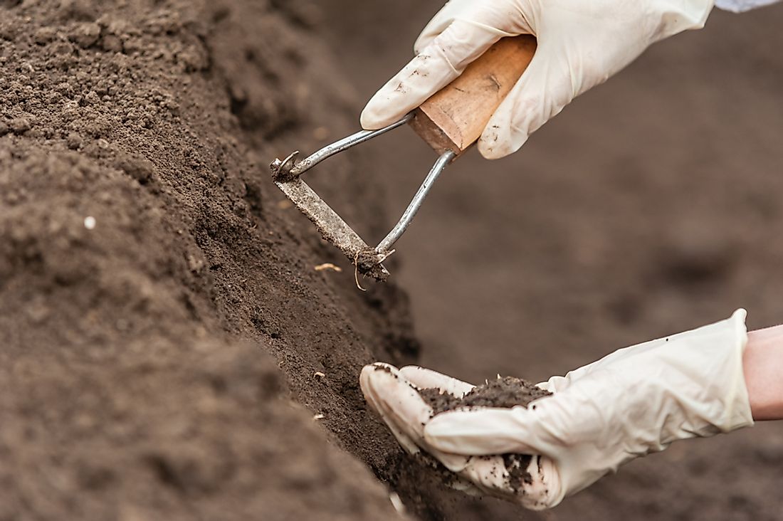 What Is Soil Science Simple Definition