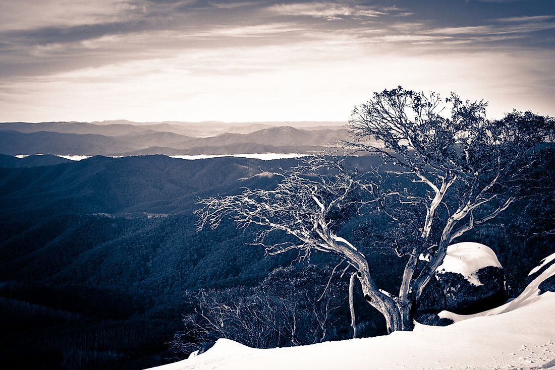 Does It Snow In Australia? WorldAtlas