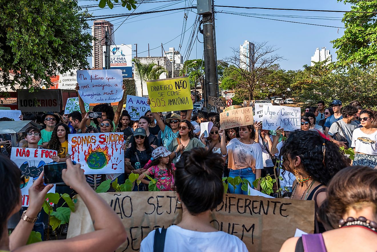 Activists Who Sacrificed Their Lives To Save The Amazon Rainforest Worldatlas