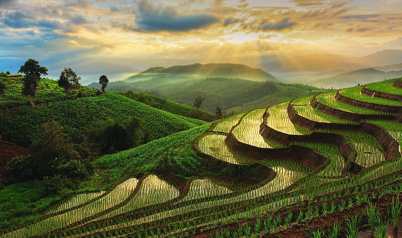 what-is-terrace-farming-worldatlas