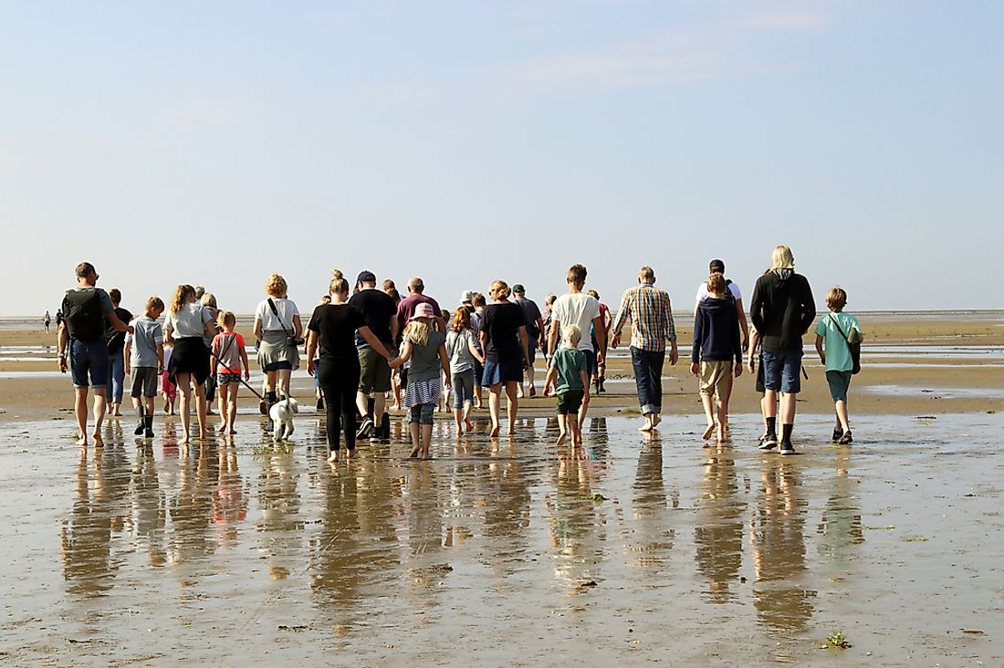 what-is-mudflat-hiking-worldatlas