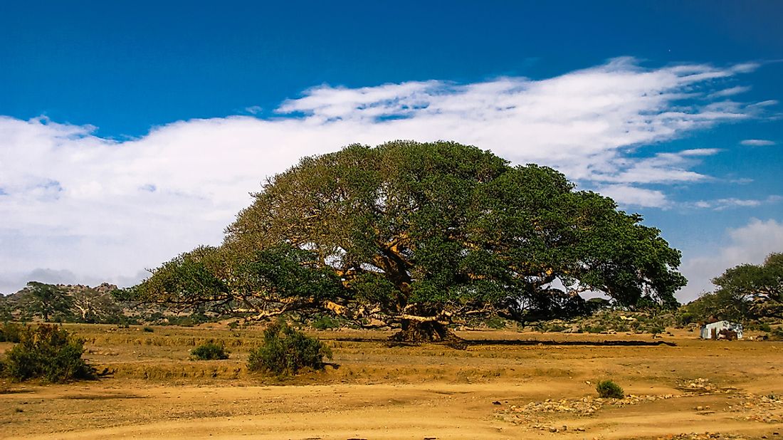 what-are-the-major-natural-resources-of-eritrea-worldatlas