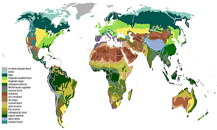 What Is A Biome? - Worldatlas