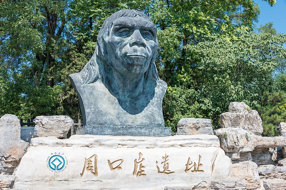 The Peking Man Site China - Artifacts