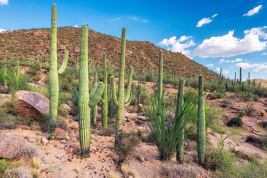 the-sunniest-cities-in-the-world-worldatlas