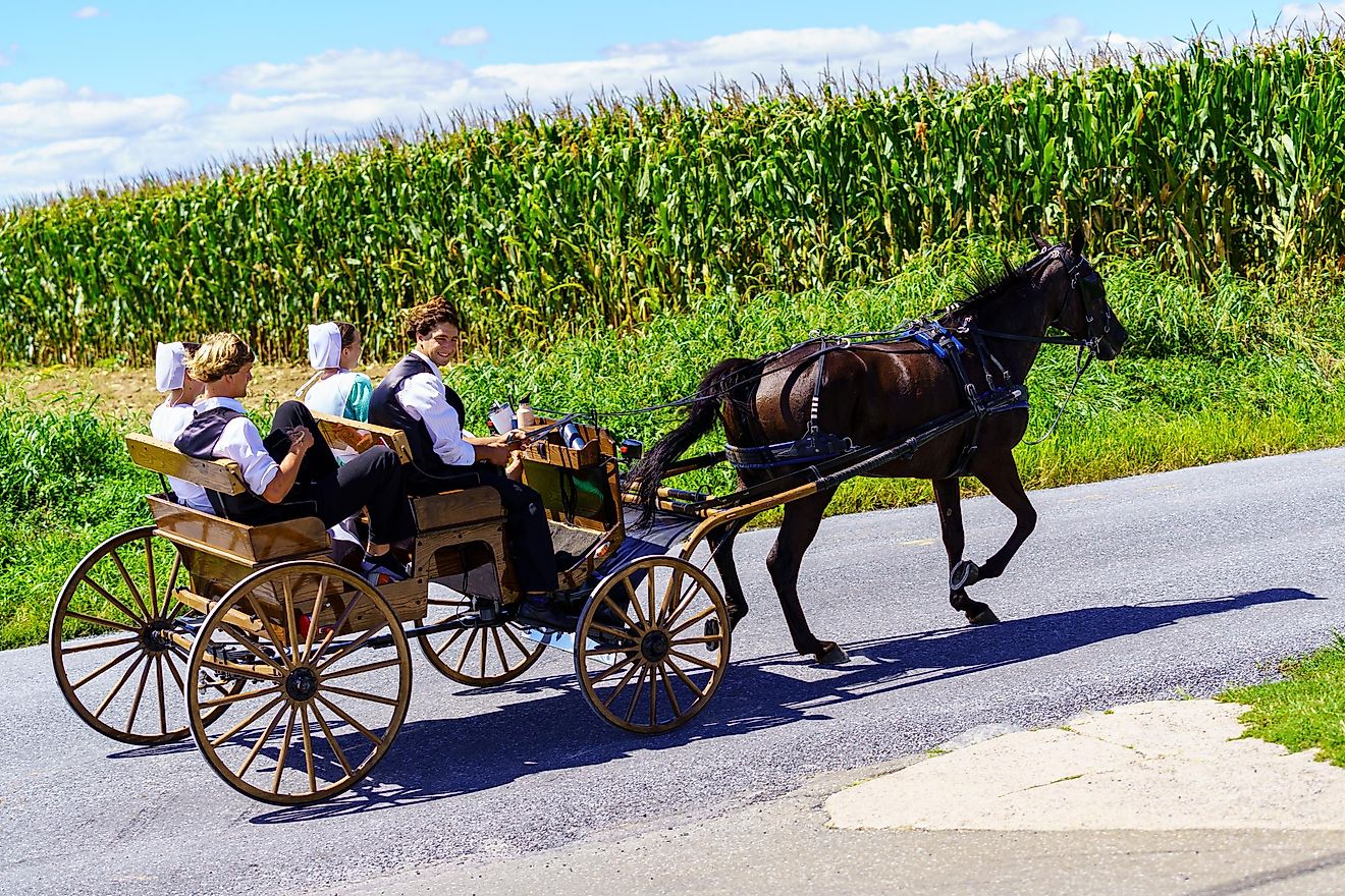 Largest Amish Communities In The United States WorldAtlas