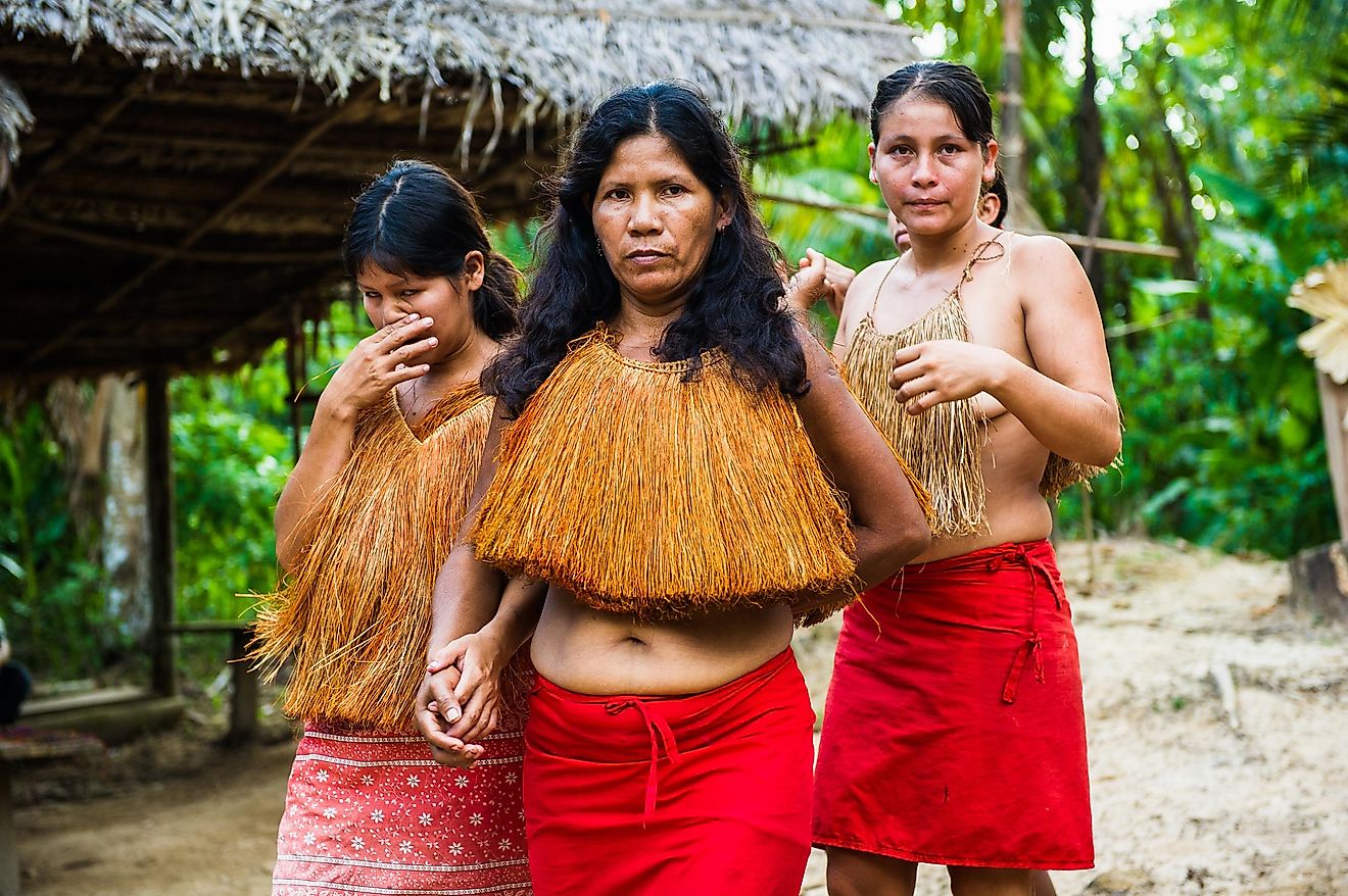 How Many Uncontacted Tribes Are Left In The World Worldatlas Free 