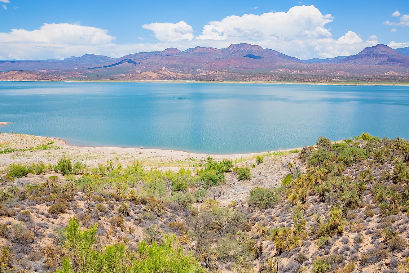 Theodore Roosevelt Lake - WorldAtlas