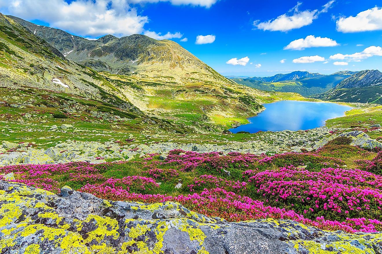 Carpathian Mountains WorldAtlas