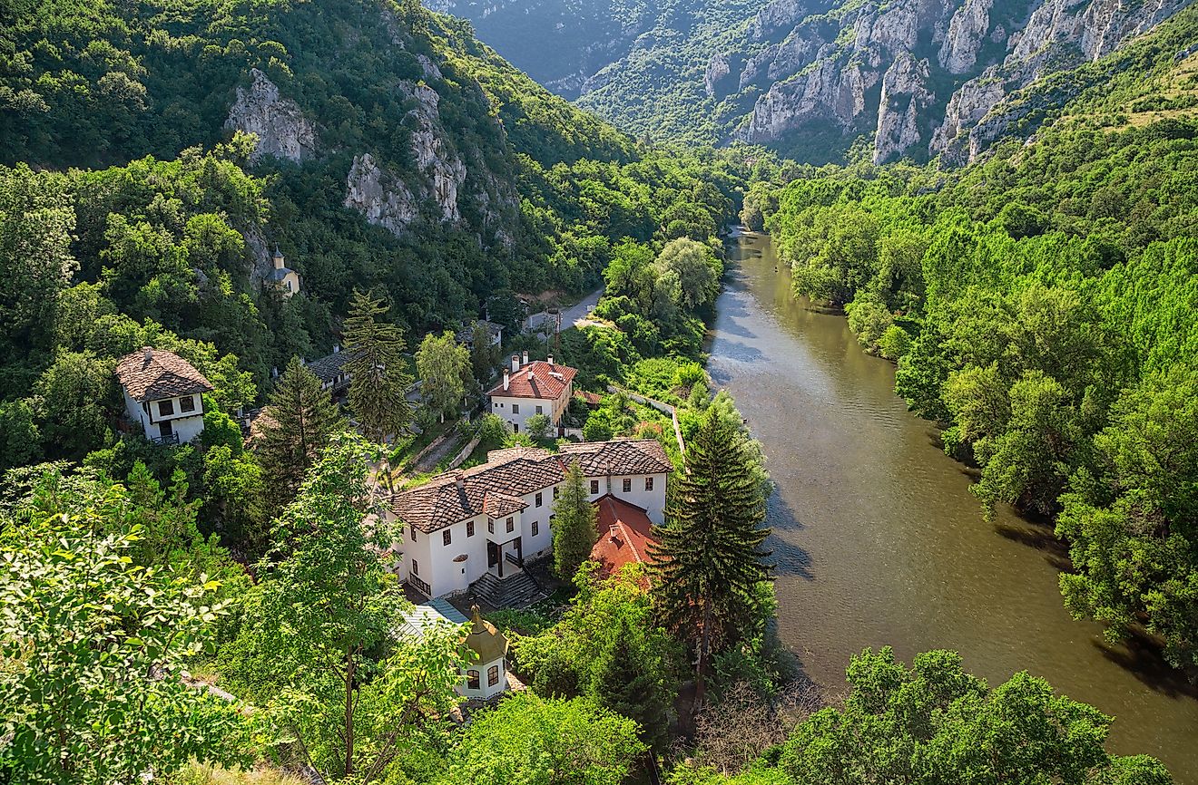 Bulgarian tree looks just like real person spotted in Balkan