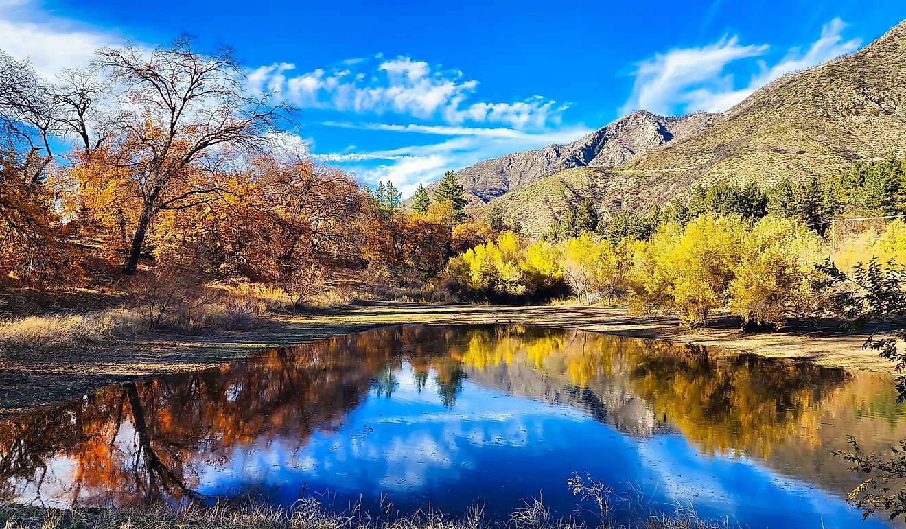 A beautiful stream with calm water at Oak Glen Preserve at San Bernardino County, California.