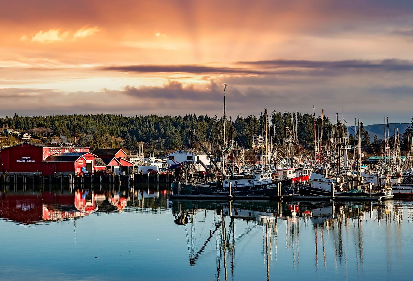 Commercial fishing boats docked at Ilwaco boat basin, Ilwaco, Washington. Image credit Bob Pool via Shutterstock.