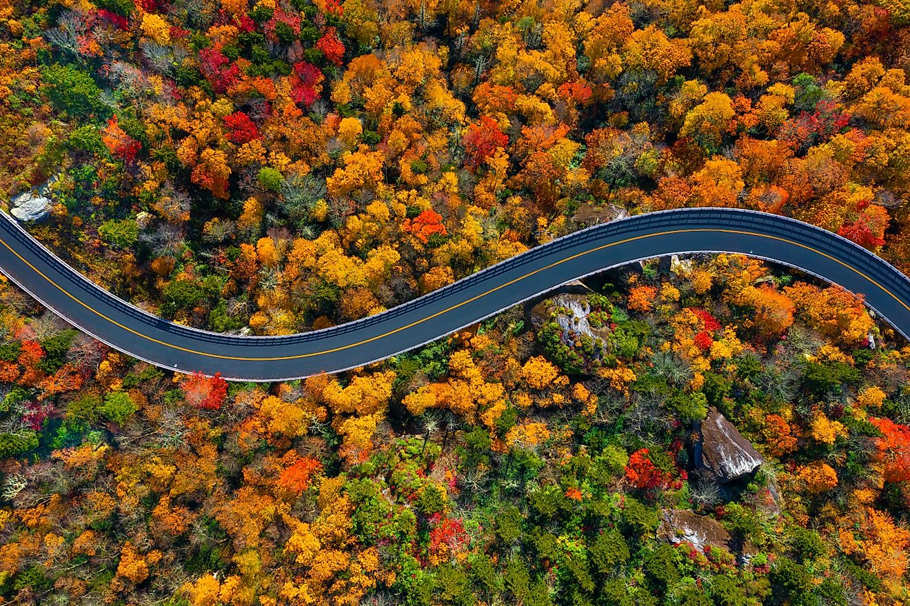 Top view of fall foliage along the Blue Ridge Parkway in North Carolina.