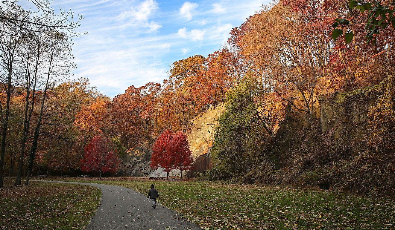 The rock climbing wall at Alapocas Run State Park, Wilmington, Delaware, USA in the colorful fall.