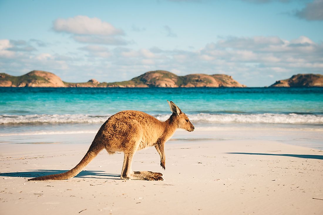 Which Country Is Referred To As Down Under WorldAtlas