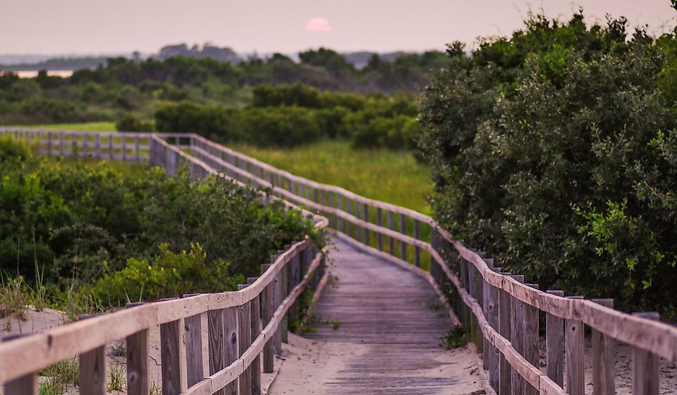 Back Bay National Wildlife Refuge boardwalk.