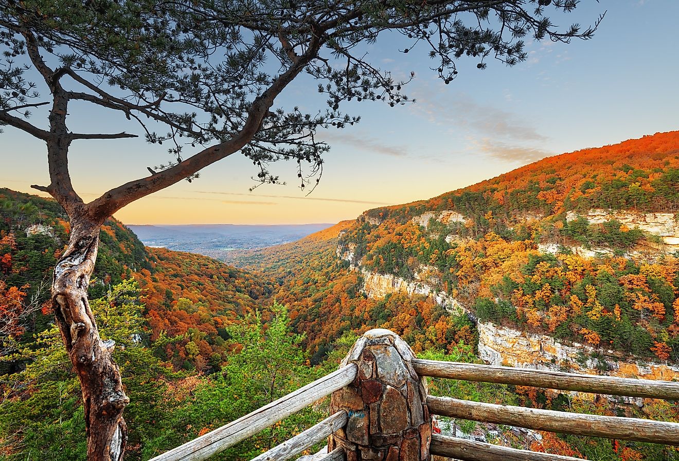 Cloudland Canyon, Georgia, autumn landscape at dusk.