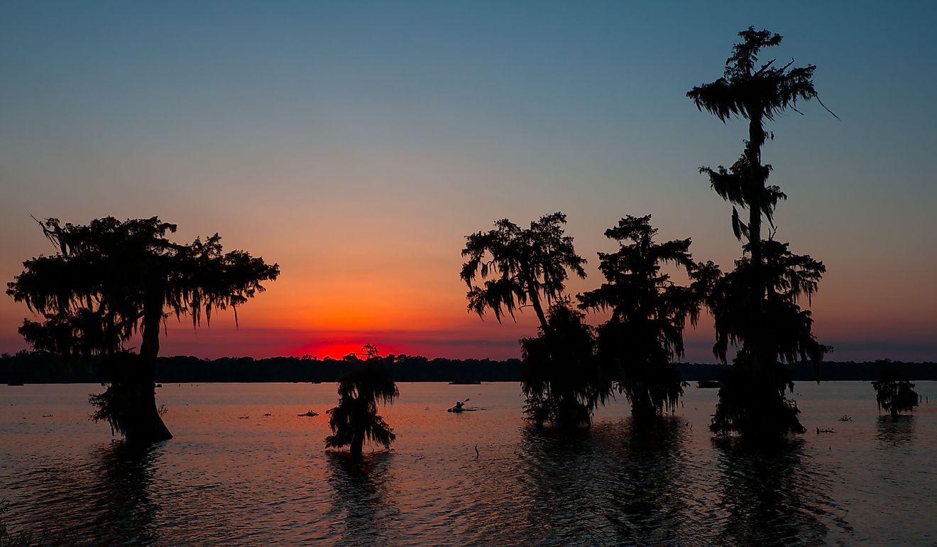 Kayaker coming in at Sunset - Lake Martin in Breaux Bridge, Louisiana.