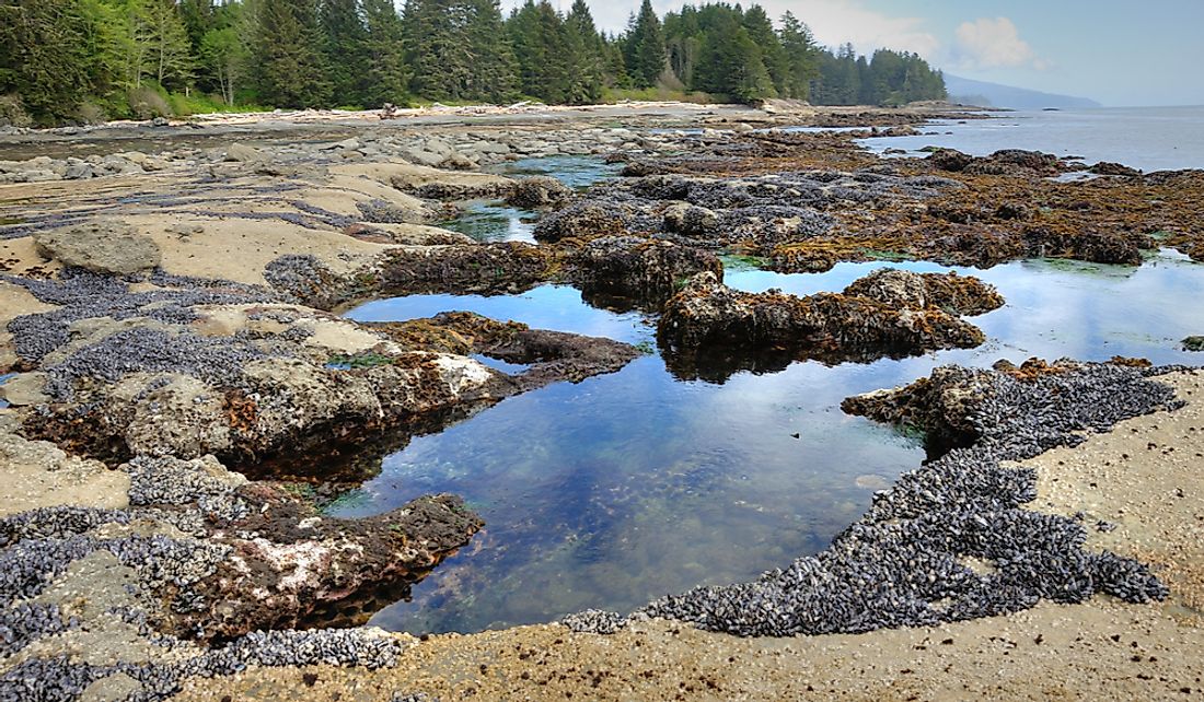 newly formed tidal pools on berach