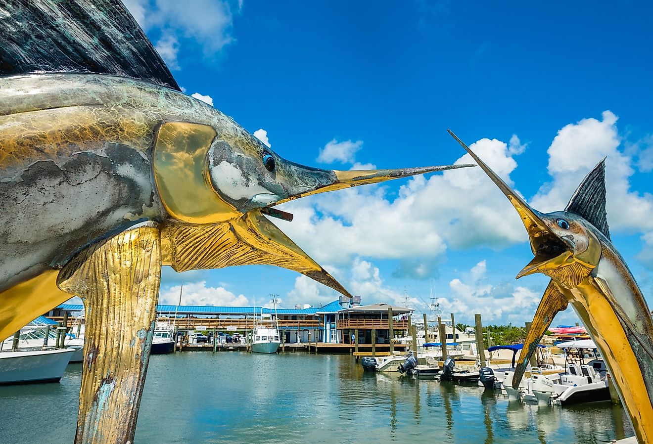 The Whale Harbor Marina in Islamorada, Florida is a popular tourist destination for the rental of yachts for fishing excursions in the beautiful Florida Keys. Image credit Fotoluminate LLC via Shutterstock