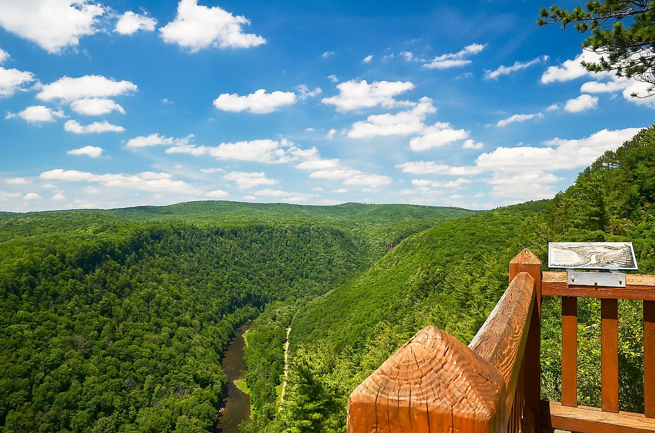 Pine Creek Gorge, also called the Grand Canyon of Pennsylvania. A 47 mile long, 1000 foot deep gorge that winds through north-central Pennsylvania. Reid Dalland Shutterstock.Editorial Photo Credit: