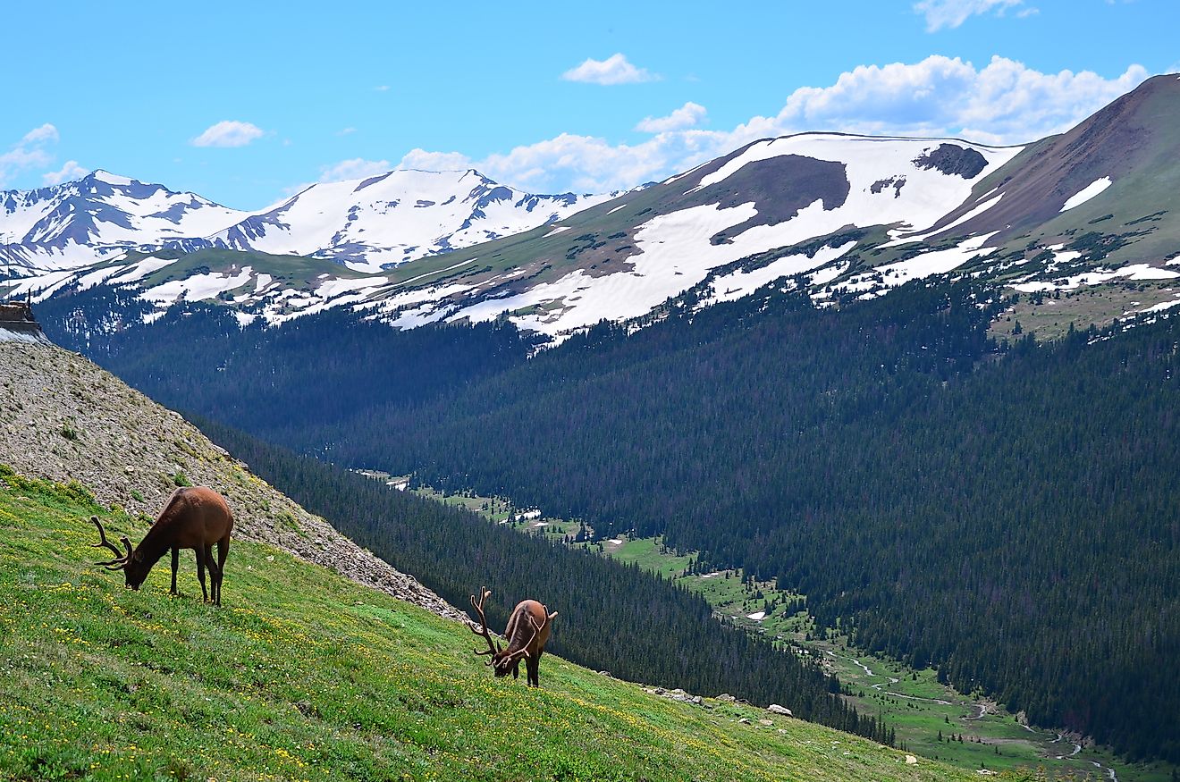 Rocky Mountain National Park