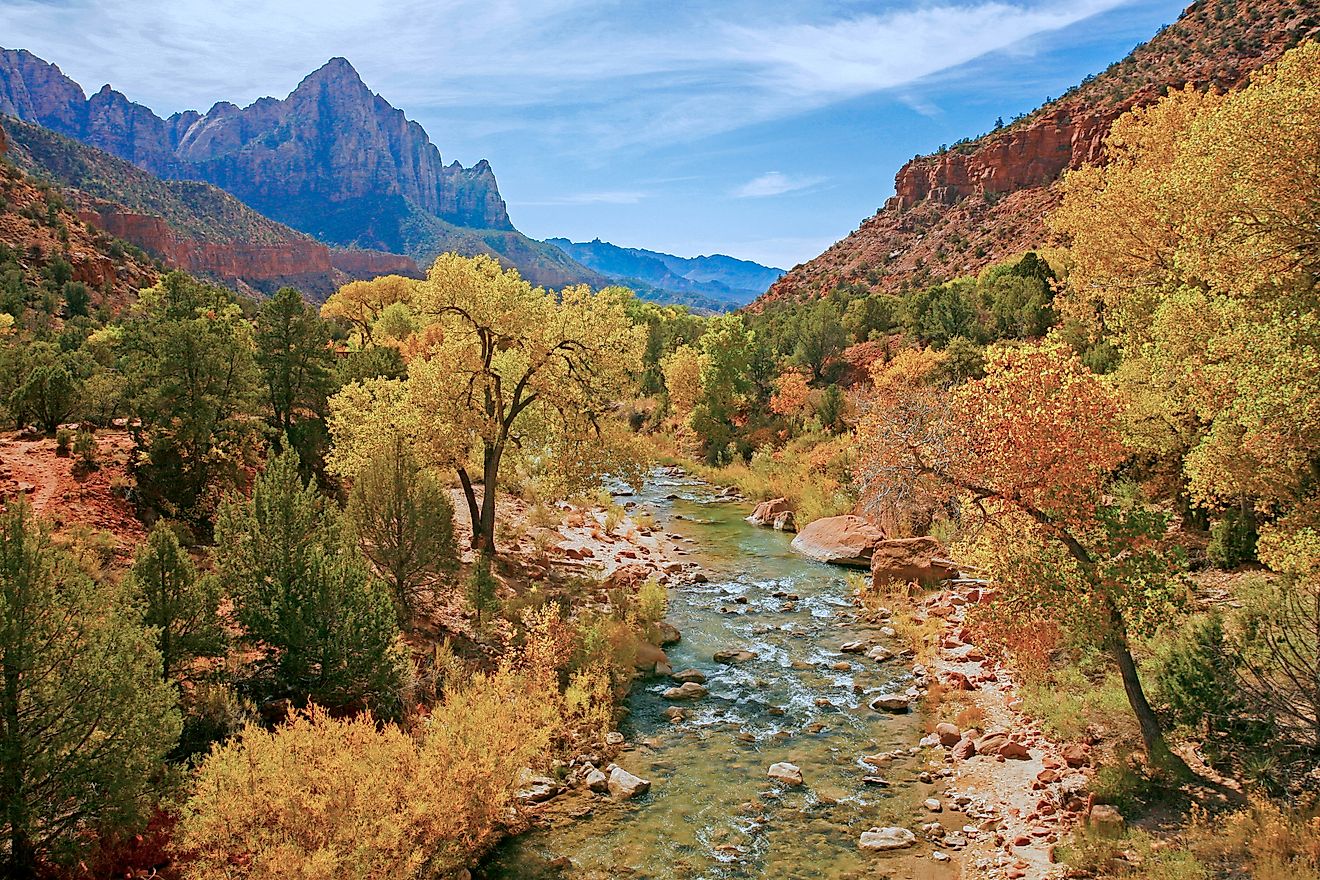 The Virgin River in Zion National Park during the fal season.