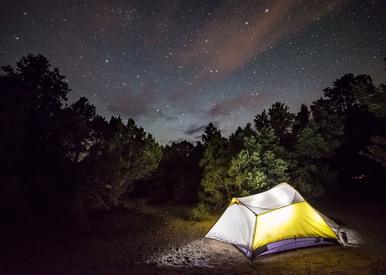 USA, Nevada, White Pine County, Ely. A Glowing camp tent at a campsite at Ward Mountain campground.