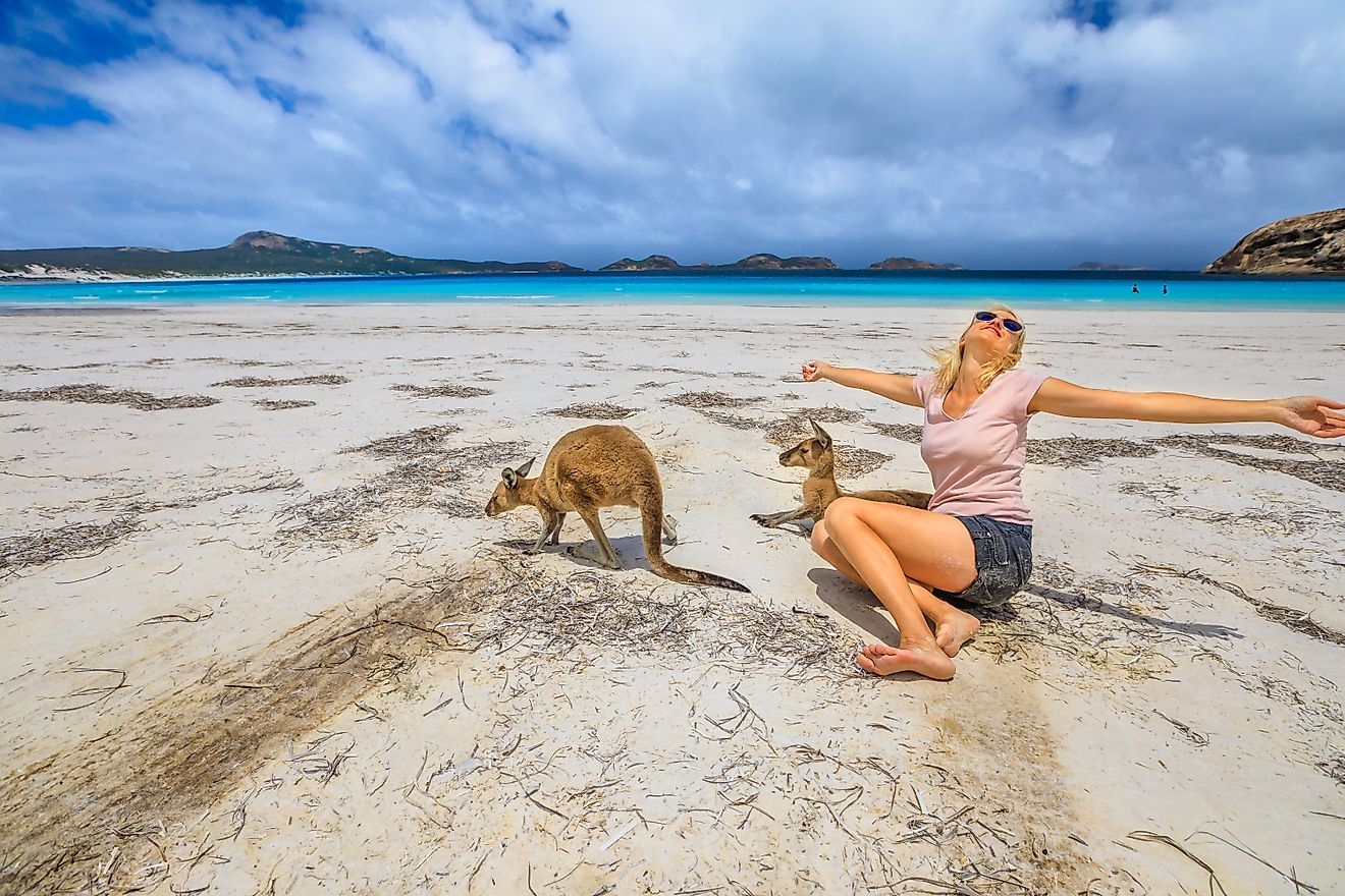 A joyful Caucasian woman with open arms stands near two kangaroos at Lucky Bay in Cape Le Grand National Park, Esperance, Western Australia.