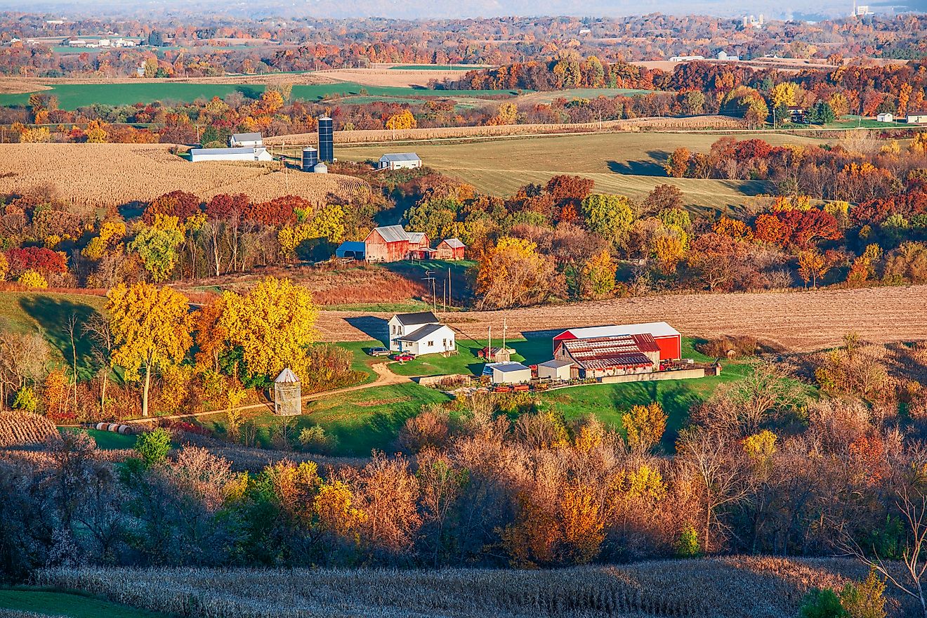 Aerial view of farmland during early autumn in northeastern Iowa.