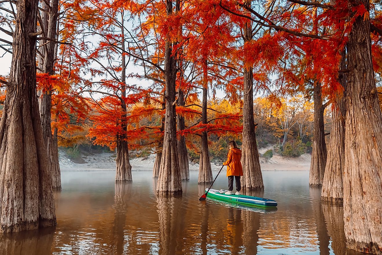 Woman paddleboarding on a stand-up paddleboard at a lake in Louisiana during the morning.