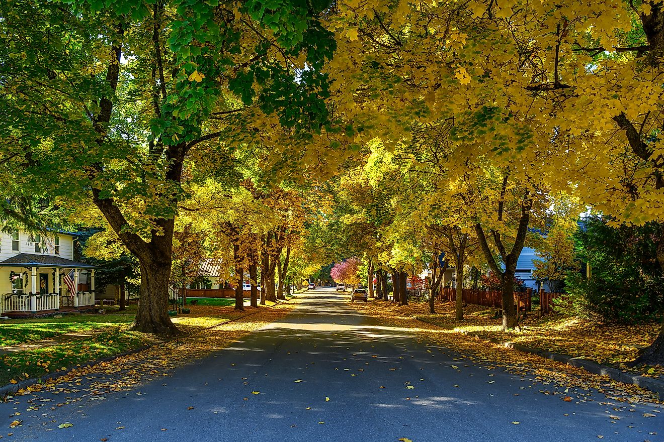 View of fall foliage in the lakefront area of Coeur d'Alene, Idaho. Editorial credit: Kirk Fisher / Shutterstock.com