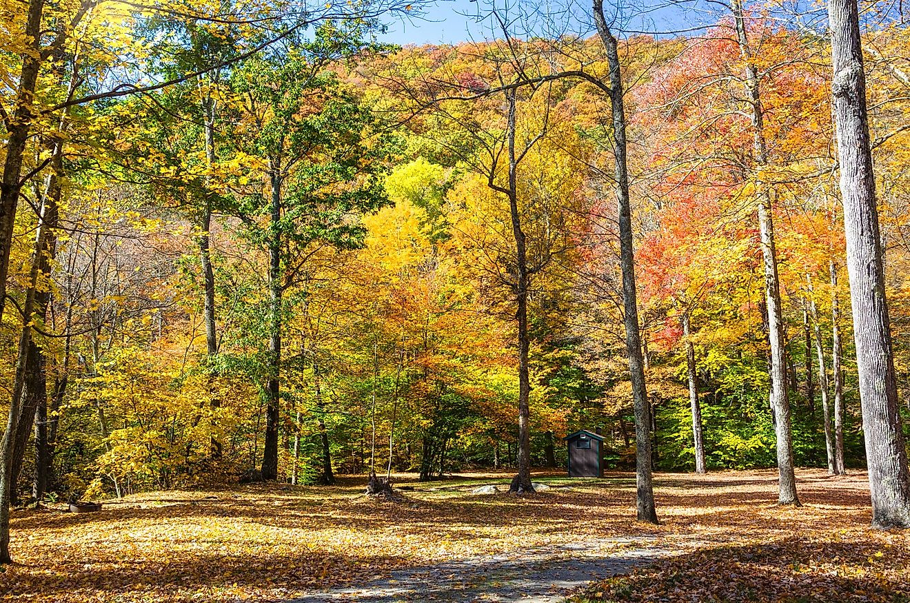 Recreation Area in forest with colorful wooded hills in the background on a sunny autumn day in Kent, Connecticut