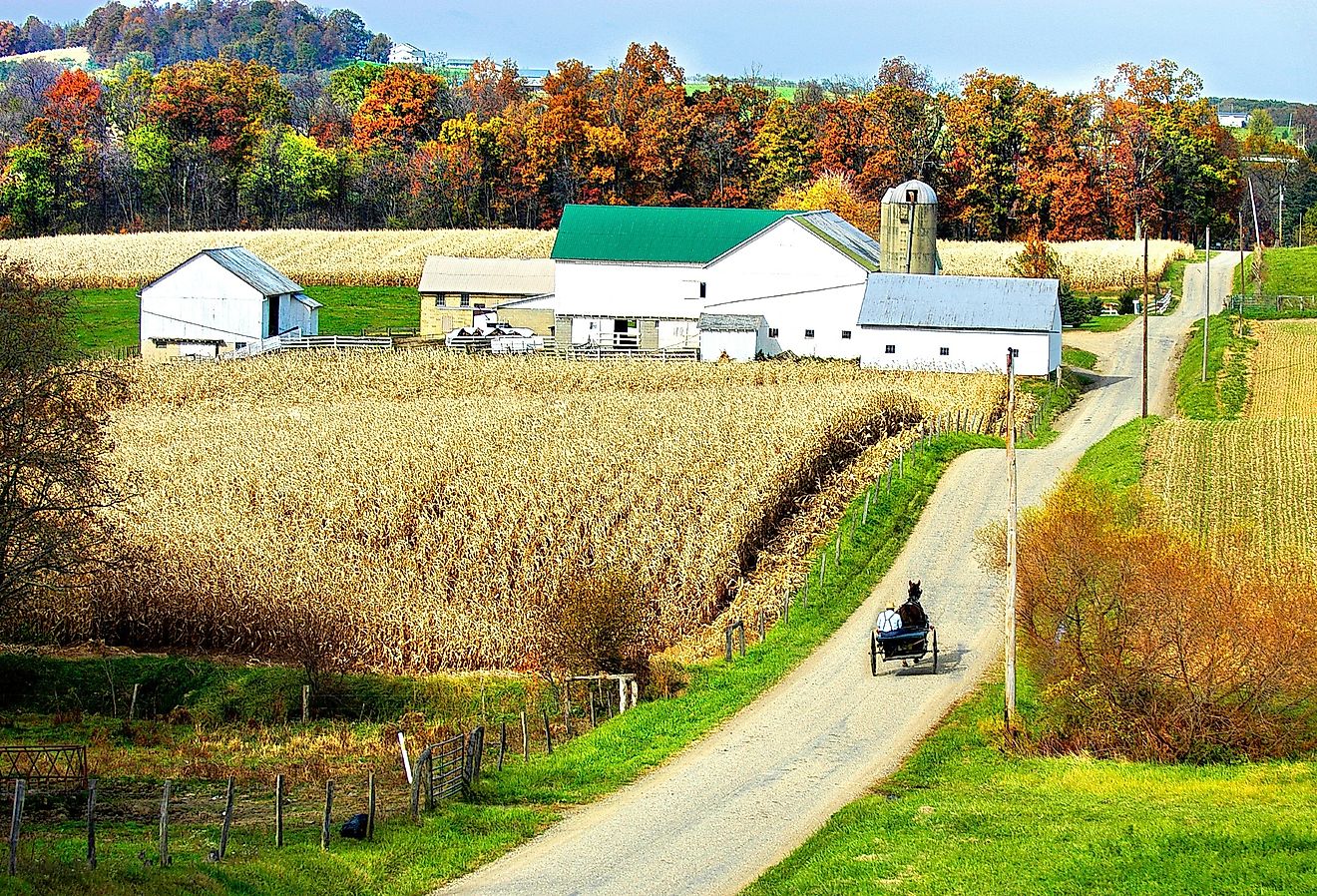 Amish horse and carriage near Sugarcreek, Ohio. Image credit Dennis MacDonald via Shutterstock